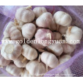 2016 New Crop Fresh Garlic